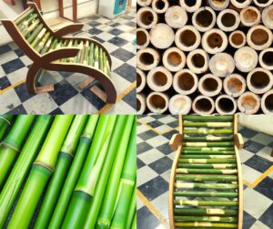 Benefícios do Bambu